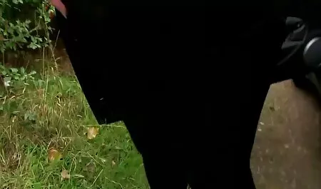 Gyönyörű lány pornol filmek szar a különböző szex pozíciók