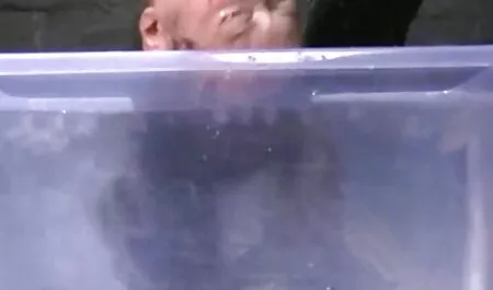 Négy Hatalmas teljes porno filmek magyarul kakas egy kakas-Hentaixxxx