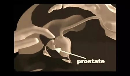 Töltsd meg a számat pornol filmek spermával.