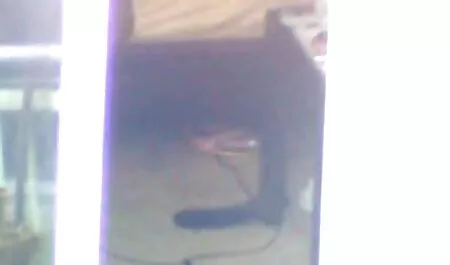 Ő az arca, punci szar egy kemény kakas pornol filmek
